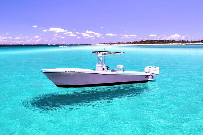 3 Hour Dolphin Tour and Snorkeling in Shell Island - Key Points