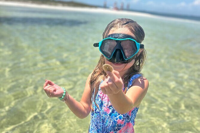 3 Hour Dolphin Tour and Snorkeling in Shell Island - Practical Details and Considerations