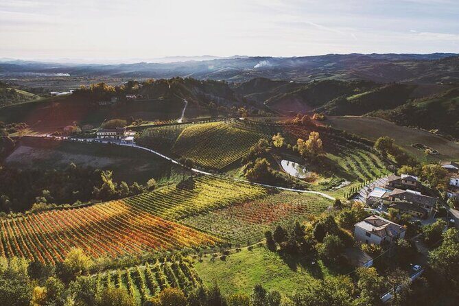 3 Hour E-bike Tour with Parmesan and Balsamic Vinegar - FAQs