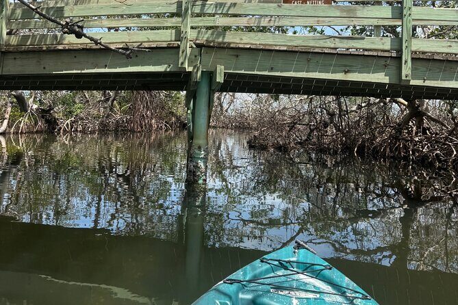 3 hour E.G. Simmons Park Mangrove Tunnel Tour - Why You Might Love This Tour