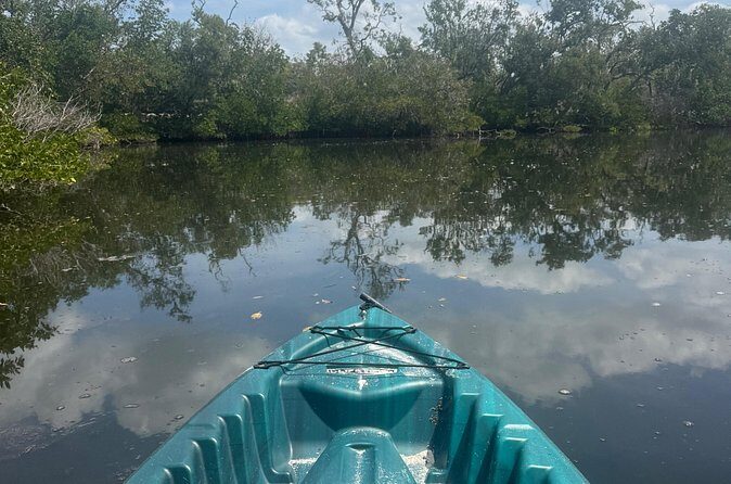 3 hour E.G. Simmons Park Mangrove Tunnel Tour - Analyzing the Value
