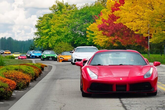 3 Hour Exotic car Tour driving 4 to 5 Super cars - The Importance of the Scenic Route