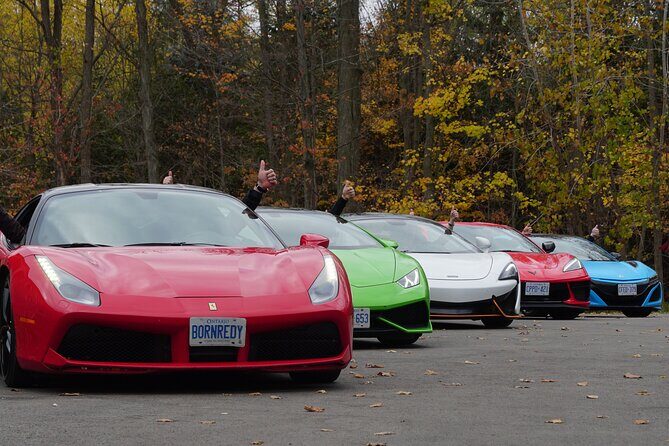 3 Hour Exotic car Tour driving 4 to 5 Super cars - Price and Value