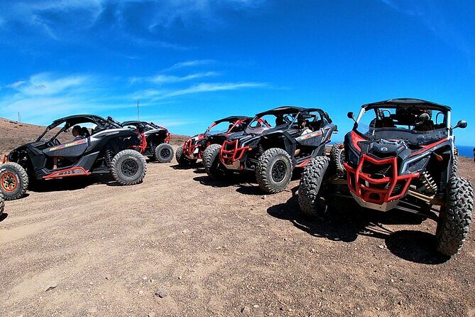 3 Hour Guided Buggy Tour Around the Island of Lanzarote - What to Expect from the Lanzarote Buggy Tour