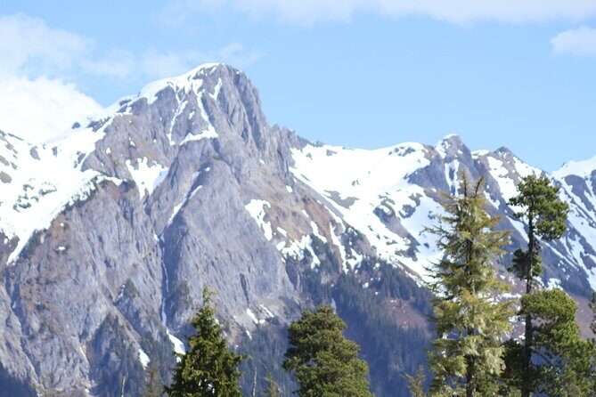 3 Hour Guided Driving Tour in Hoonah Alaska - Who is This Tour Best For?