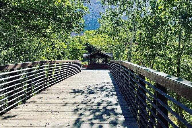 3 Hour Guided E Bike Tour in Zion National Park - Why Choose a Guided E-Bike Tour in Zion?