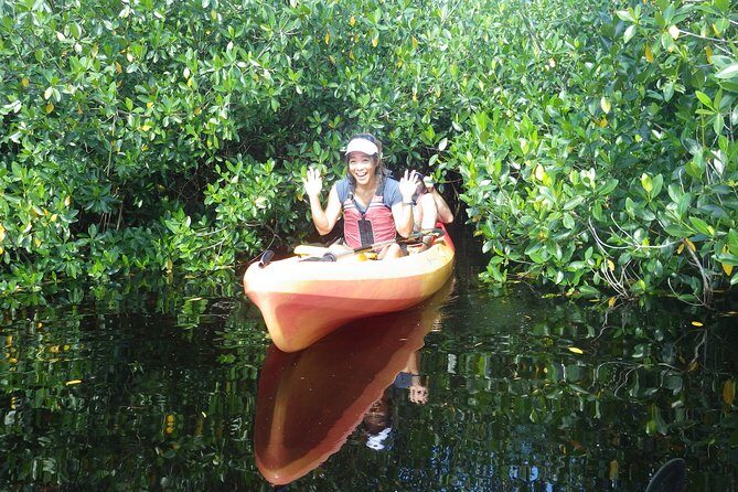 3 Hour Guided Mangrove Tunnel Kayak Eco Tour - Final Thoughts