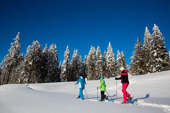 3-Hour Guided Snowshoeing Adventure in the Slovenian Alps - Exploring the 3-Hour Guided Snowshoeing Adventure in the Slovenian Alps
