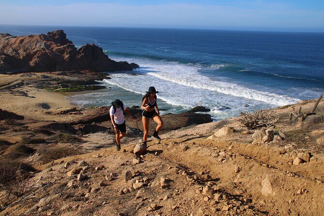 3 Hour Hiking Activity at the Hidden Arch Of Los Cabos - Highlights and Potential Drawbacks