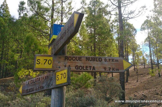 3-Hour Hiking Experience in Roque Nublo - FAQs