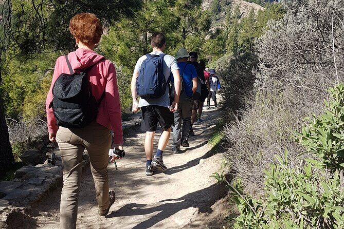 3-Hour Hiking Experience in Roque Nublo - Final Thoughts
