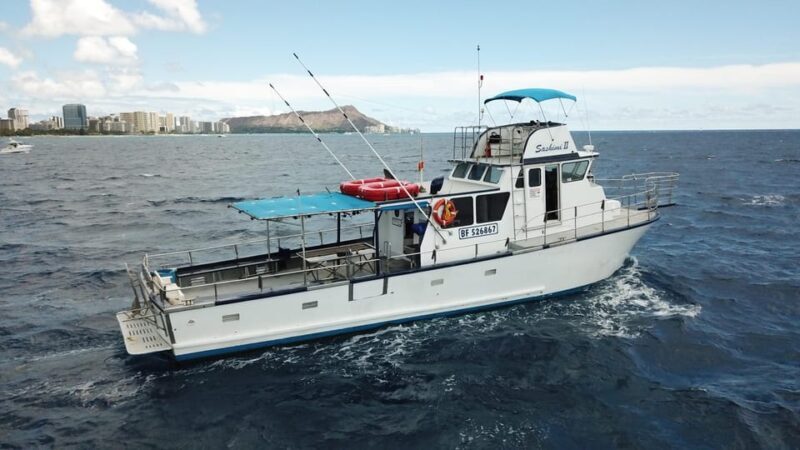 3-Hour Honolulu Bottom Fishing Adventure - Key Points