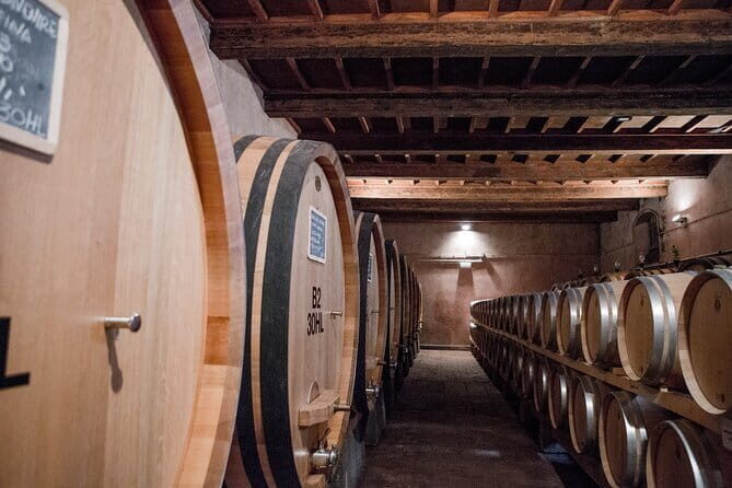 3 Hour Horse Ride to a Castle for Wine Tasting and snack Lunch - What You Can Expect from This Tour