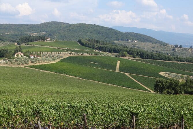 3 Hour Horse Ride to a Castle for Wine Tasting and snack Lunch - Why This Tour Is Worth Considering