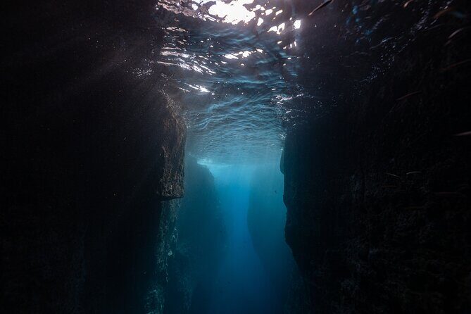 3 Hour Kayak Guided Tour in Islet of Vila Franca Do Campo - What to Expect from the Vila Franca do Campo Kayak Tour