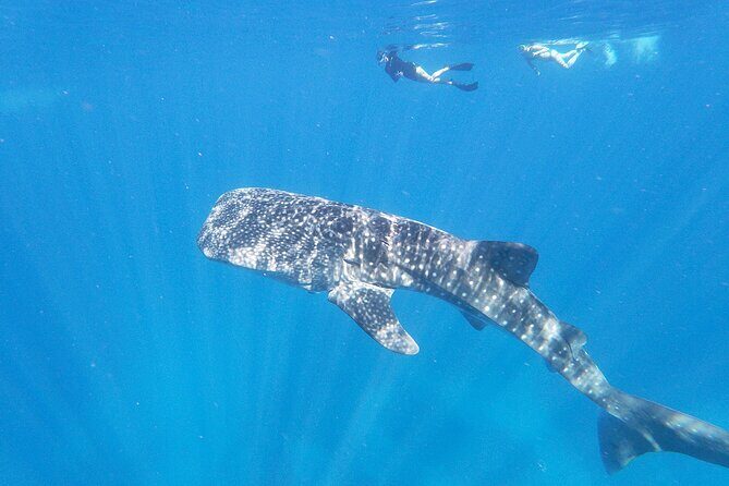 3-Hour Luxury Private Custom Charter - Who This Tour Is Best For