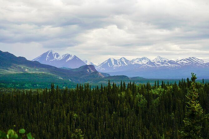 3 Hour Naturalist Walking Tour in Denali National Park - FAQs