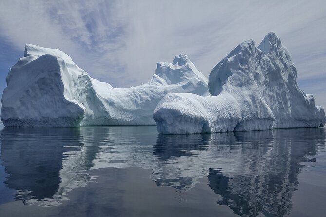 3 Hour Ocean Safari by Zodiac Boat -Whales & Icebergs seasonally - Authentic Traveller Voices