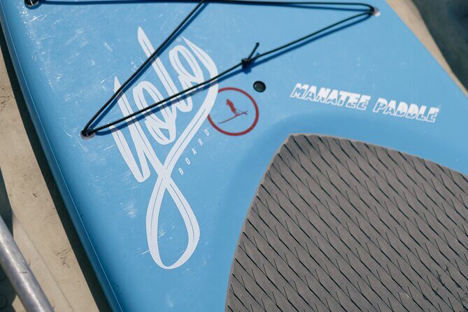 3 Hour Paddle Board Rental - Discovering Crystal River from the Water