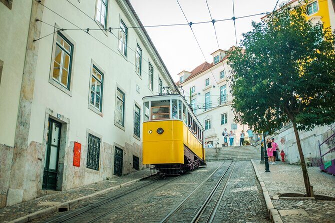 3-Hour Private Guided Walking Tour of Lisbon - Practical Tips for Your Tour