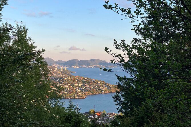 3-Hour Private Norwegian Hiking Experience with Local Guide - What Does the Price Reflect?