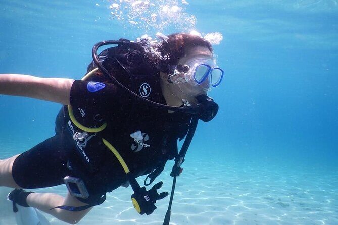 3 Hour Private Scuba Diving Experience - What Do Travelers Say?