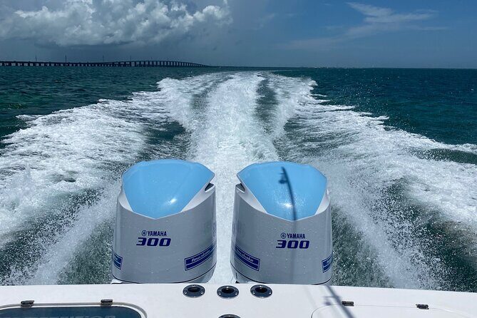 3 Hour Private Snorkeling in Marathon Florida - The Value and Who It’s Best For