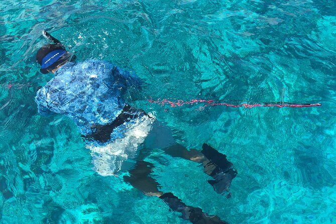 3 Hour Private Snorkeling in Marathon Florida - Wrapping It Up