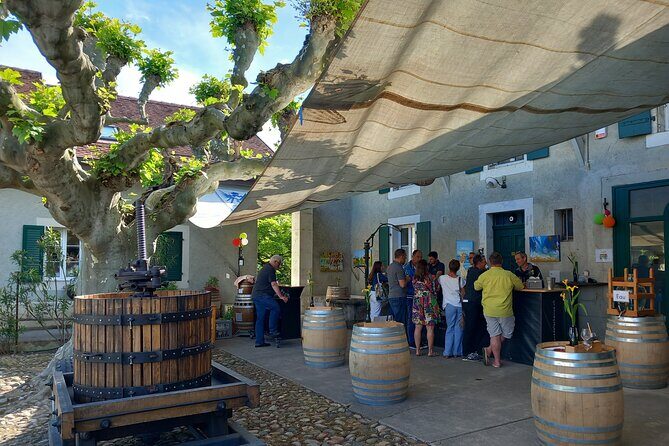 3 Hour Private Tour Countryside Vineyards with Local Wine Tasting - Key Points