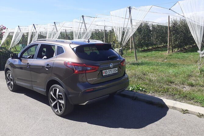 3 Hour Private Tour Countryside Vineyards with Local Wine Tasting - What to Expect from the Tour