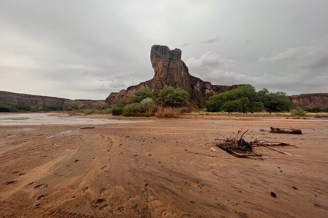 3-hour Private Tour - The Experience and Its Value