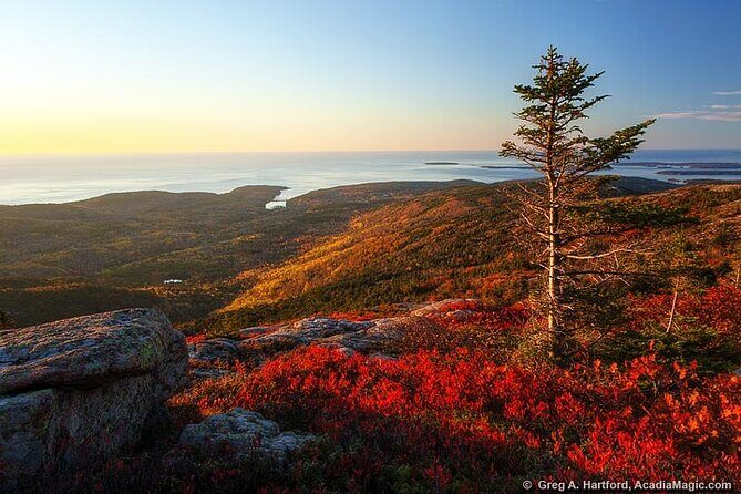 3 Hour Private Tour: Explore all the top spots of Acadia! - The Practicalities: What’s Included and What’s Not
