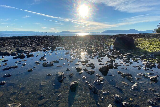 3-Hour Rainforest, Beach & Wildlife Walk - Who Is This Tour Best For?