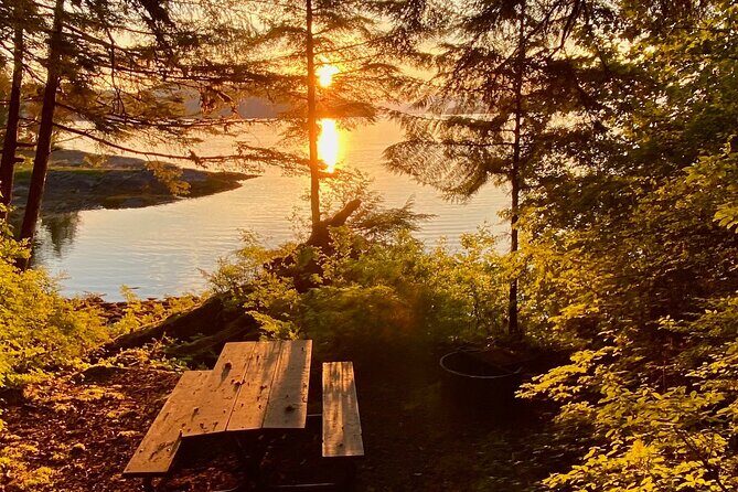 3-Hour Rainforest, Beach & Wildlife Walk - Final Thoughts