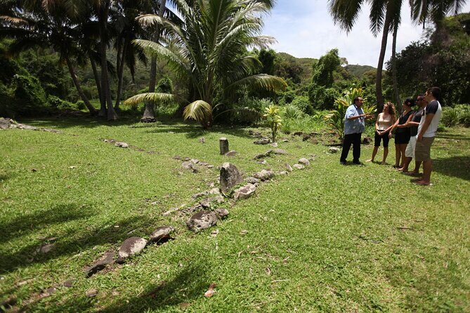 3-Hour Rarotonga Island Discovery Tour - Who Should Consider This Tour?