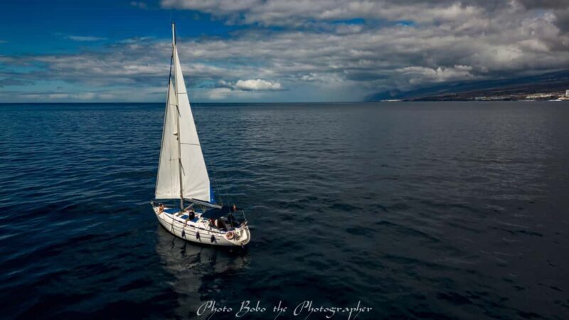 3-hour sailing tour on a Bavaria 41 sailboat from Puerto Colon to Adeje - Snorkeling and Water Activities