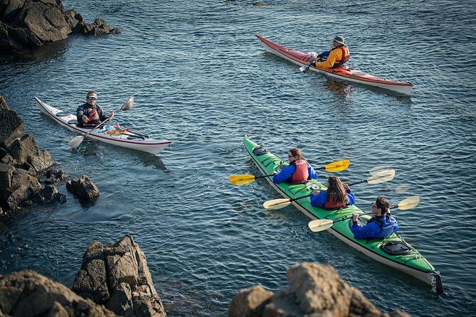 3-Hour Sea Kayak Tour in the San Juan Islands - Key Points