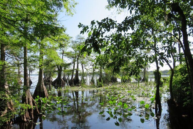 3 Hour Small Group Lake Norris Kayak Activity - What to Expect from Your Lake Norris Kayak Adventure