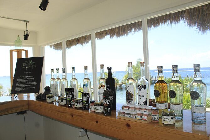 3-Hour Small-Group Mezcal and Tequila Tasting activity from Cozumel - Final Thoughts