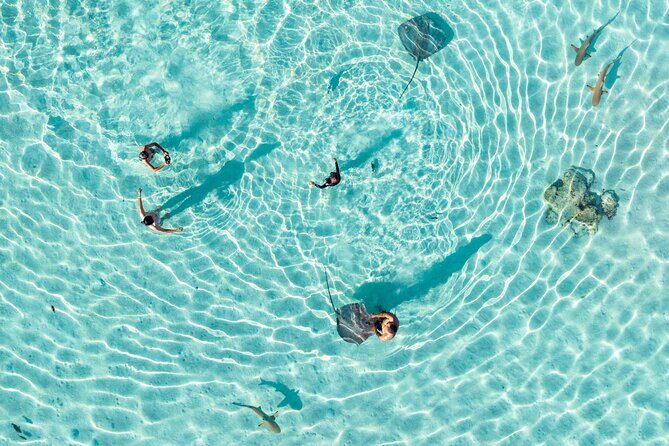 3-Hour Snorkeling Tour - Key Points