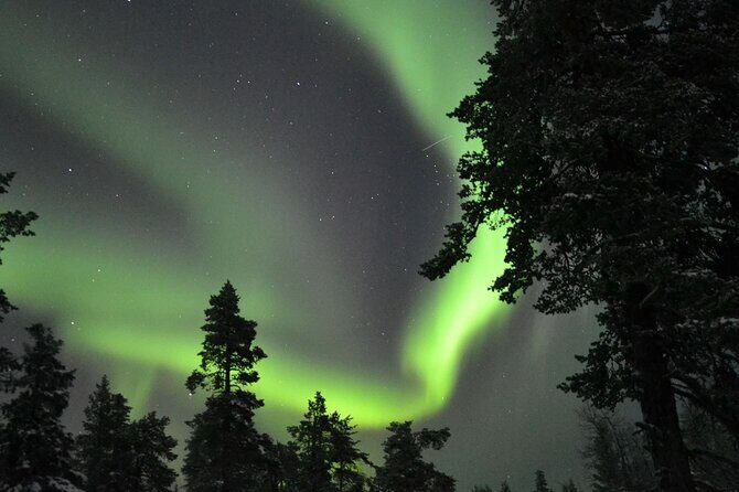 3-Hour Snowmobile Safari to Search Northern Lights in Levi - The Authenticity and Value