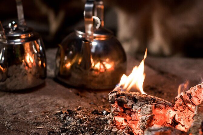 3-Hour Snowmobile Safari to Search Northern Lights in Levi - Who Should Consider This Tour?