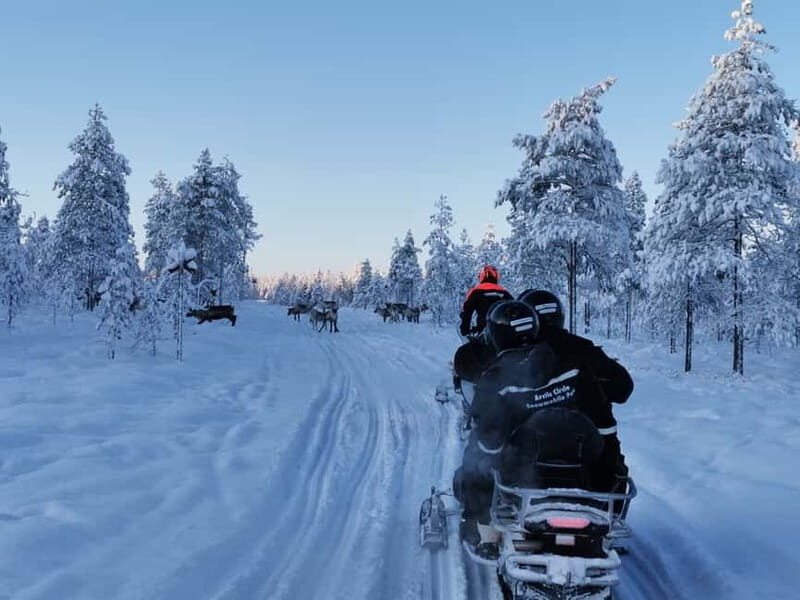 3-hour snowmobiling adventure in Levi - Key Points