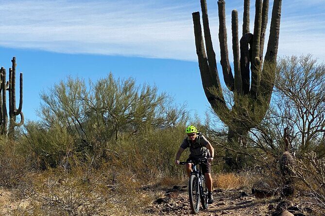3 Hour Sonoran Desert Private Guided Mountain Bike Tour - A Closer Look at the Experience