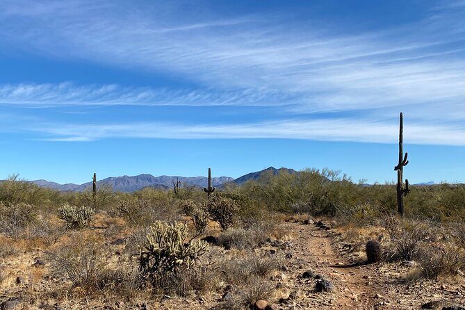 3 Hour Sonoran Desert Private Guided Mountain Bike Tour - Final Thoughts