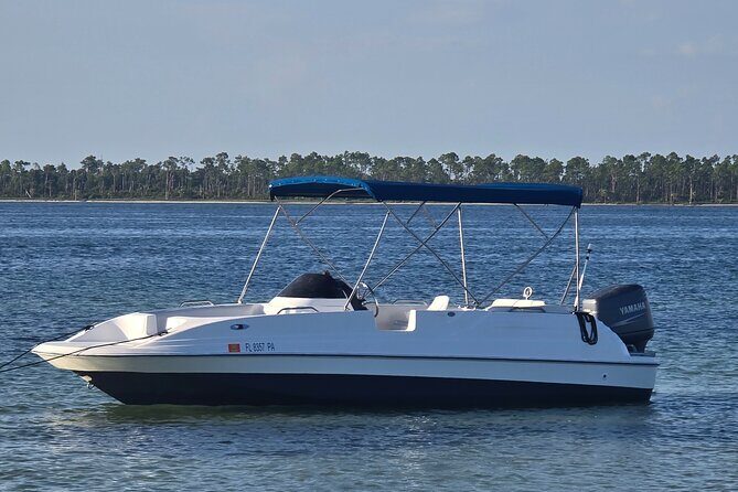 3 Hour Sunset Cruise to Shell Island - What to Expect During the Sunset Cruise