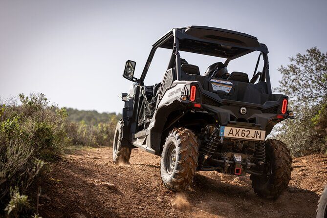 3-hour tour by Buggy or Quad in the Algarve - Authentic Traveler Perspectives