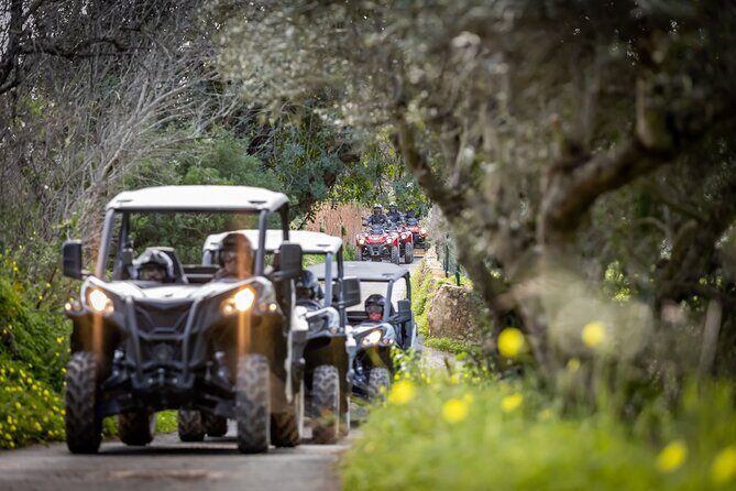 3-hour tour by Buggy or Quad in the Algarve - Who Should Consider This Tour?
