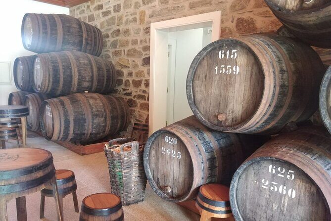 3-Hour Tour to Discover Pinhão - Moment of Discovery - Exploring the Pinhão Experience: A Balanced Look at the 3-Hour Douro Tour