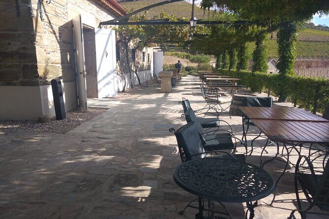 3-Hour Tour to Discover Pinhão - Moment of Discovery - The Price Point and Overall Value
